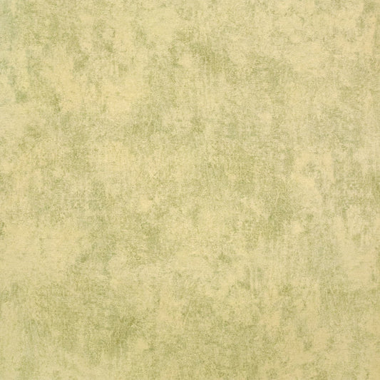 Monstera Plain Julie Feels Home Wallpaper - Lime - Hohenberger - 26944 - Premier Wallcovering