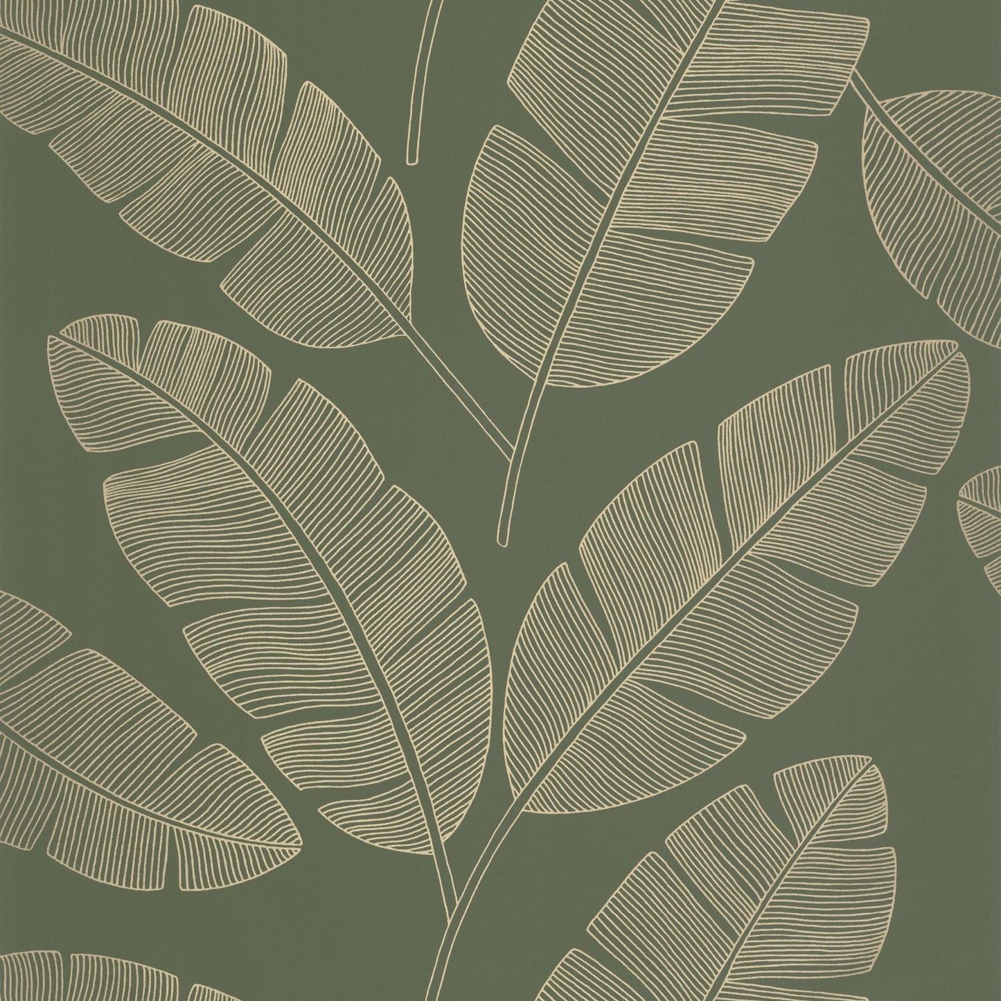 Moonlight Banana Tree Wallpaper - Vert Kaki - Caselio - 101107142 - Premier Wallcovering