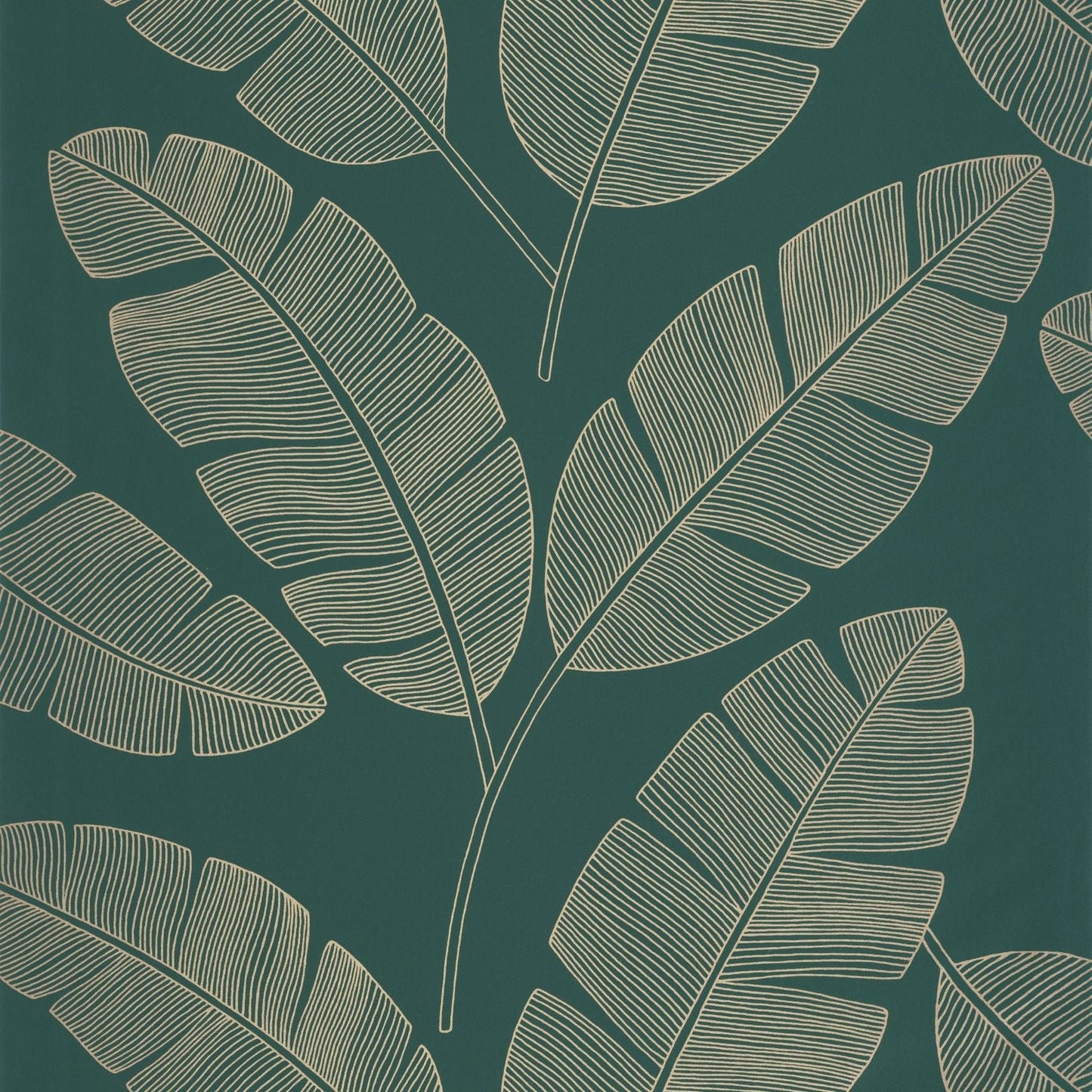 Moonlight Banana Tree Wallpaper - Vert Sapin - Caselio - 101107251 - Premier Wallcovering