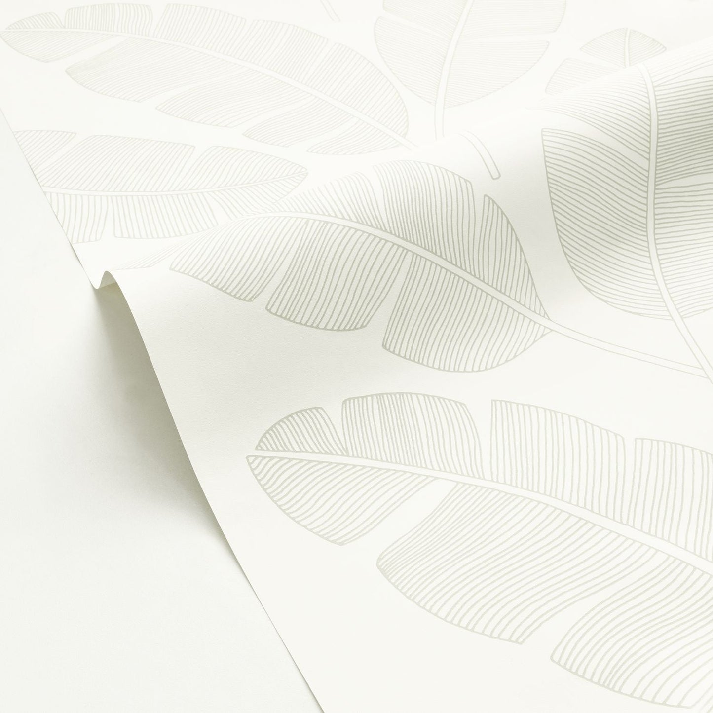 Moonlight Banana Tree Wallpaper - Vert Amande - Caselio - 101100723 - Premier Wallcovering