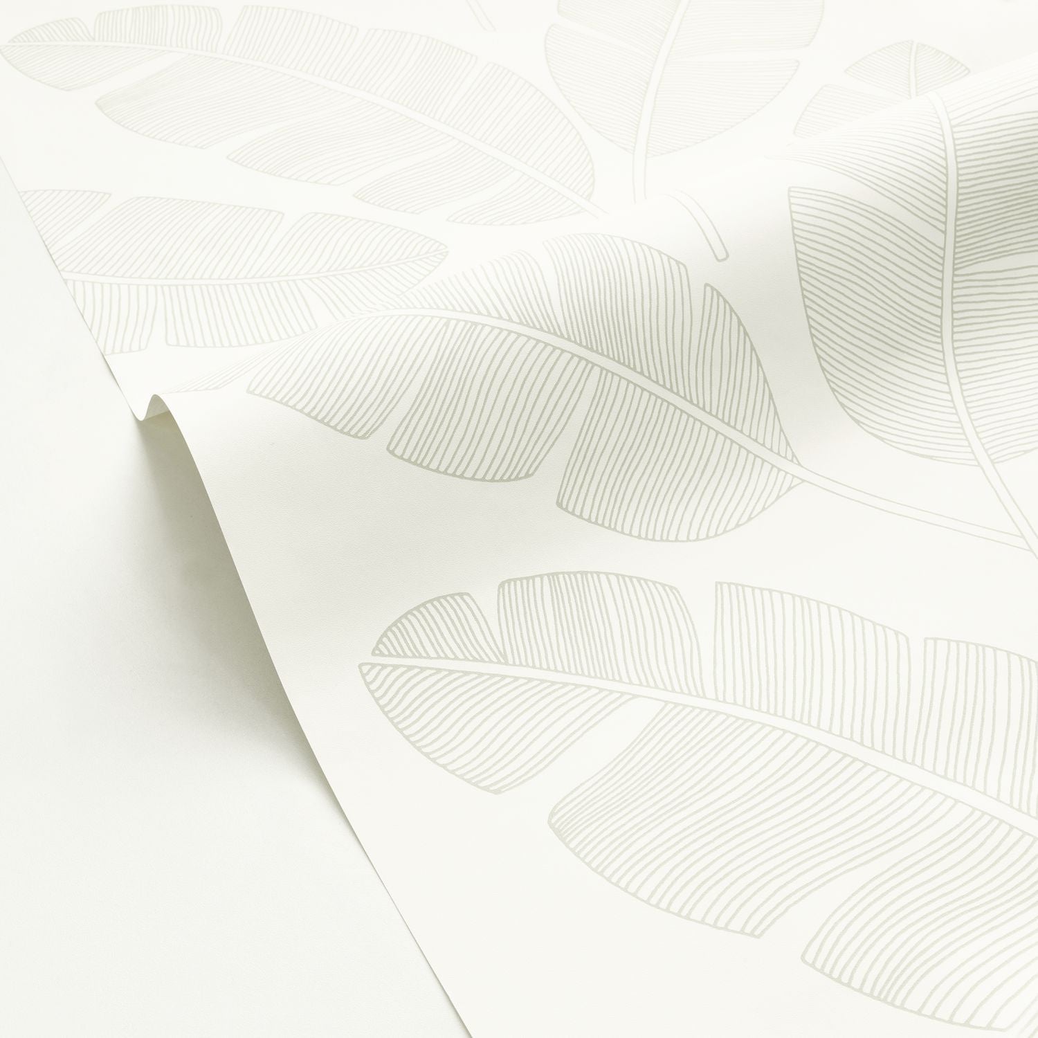 Moonlight Banana Tree Wallpaper - Vert Amande - Caselio - 101100723 - Premier Wallcovering