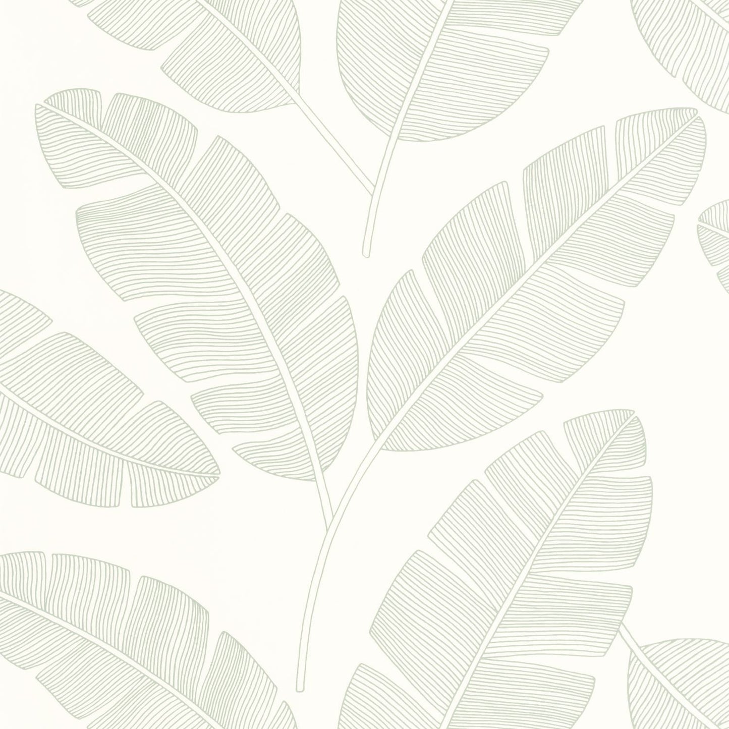 Moonlight Banana Tree Wallpaper - Vert Amande - Caselio - 101100723 - Premier Wallcovering