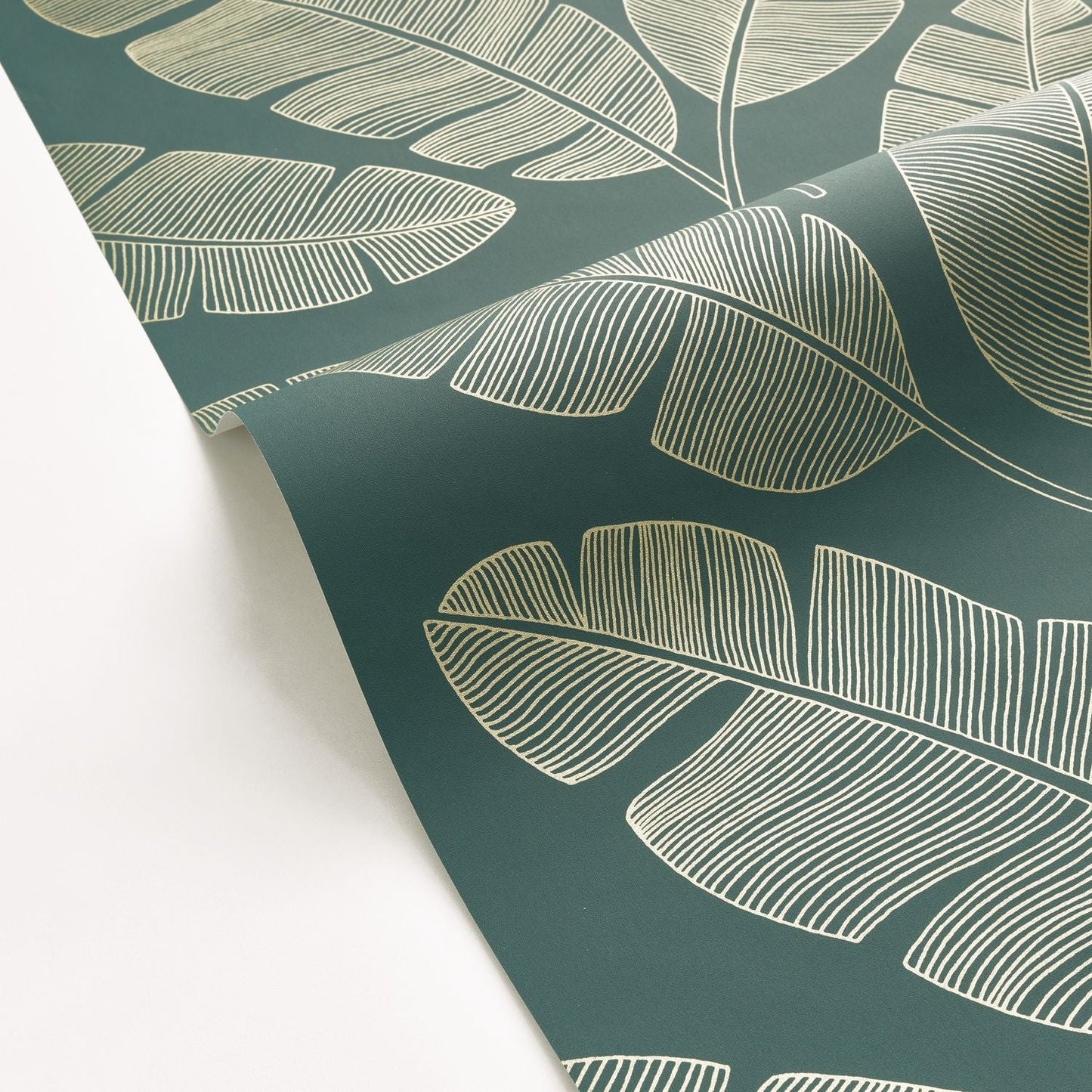 Moonlight Banana Tree Wallpaper - Vert Sapin - Caselio - 101107251 - Premier Wallcovering