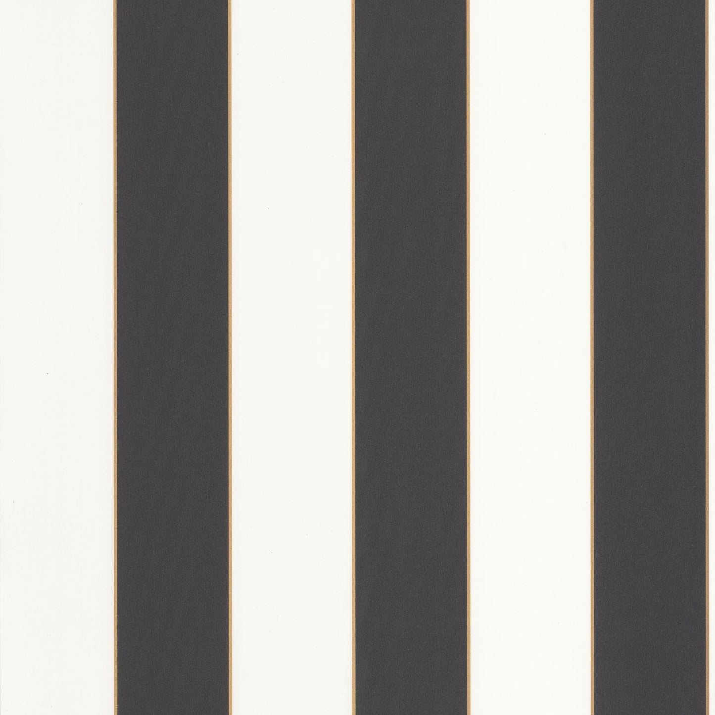 Moonlight Golden Lines Wallpaper - Noir - Caselio - 101072092 - Premier Wallcovering