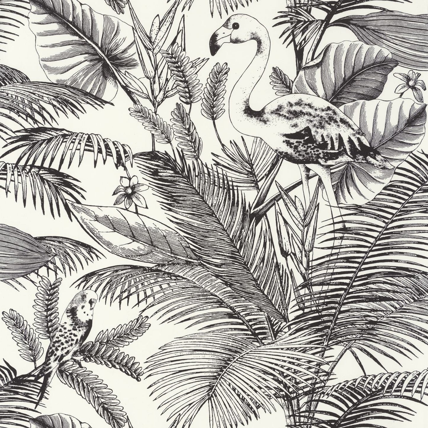 Moonlight Tropical World Wallpaper - Noir Et Blanc - Caselio - 101039000 - Premier Wallcovering