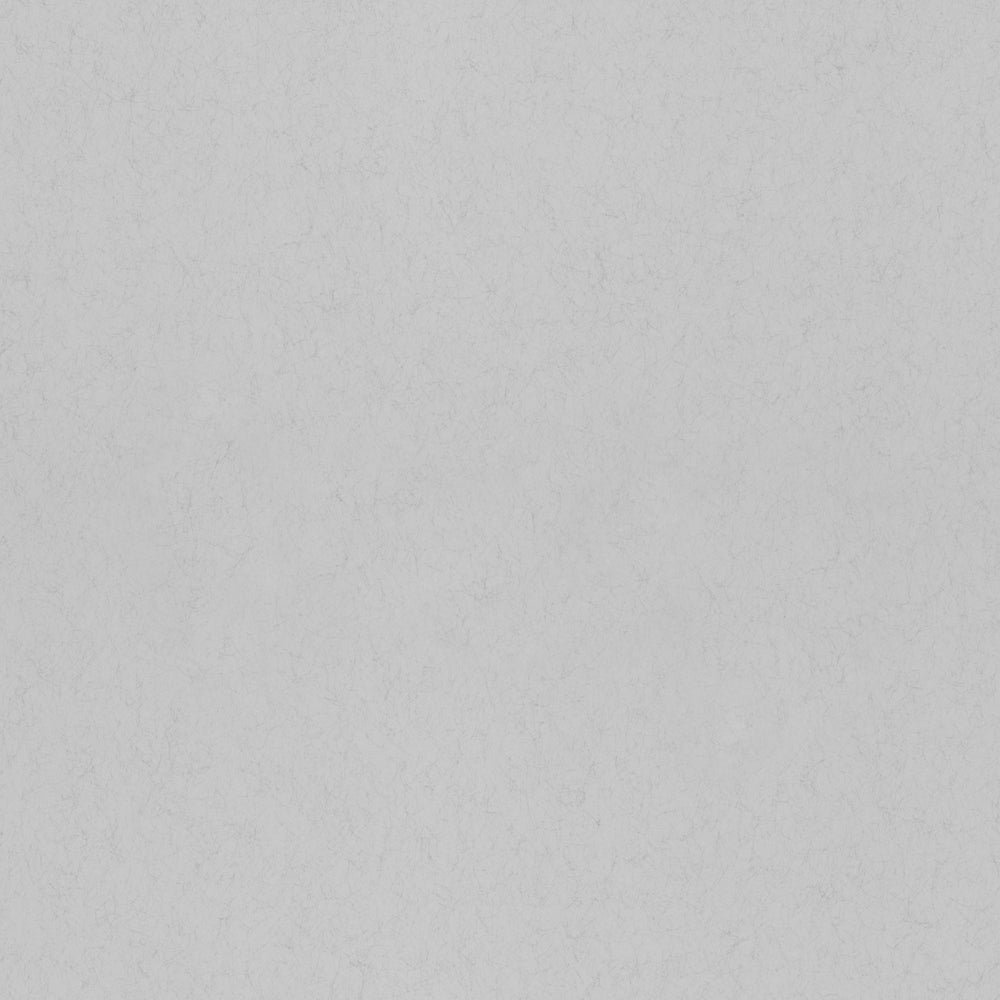 Morgondis Wallpaper - Light Gray - Midbec - 77029 - Premier Wallcovering