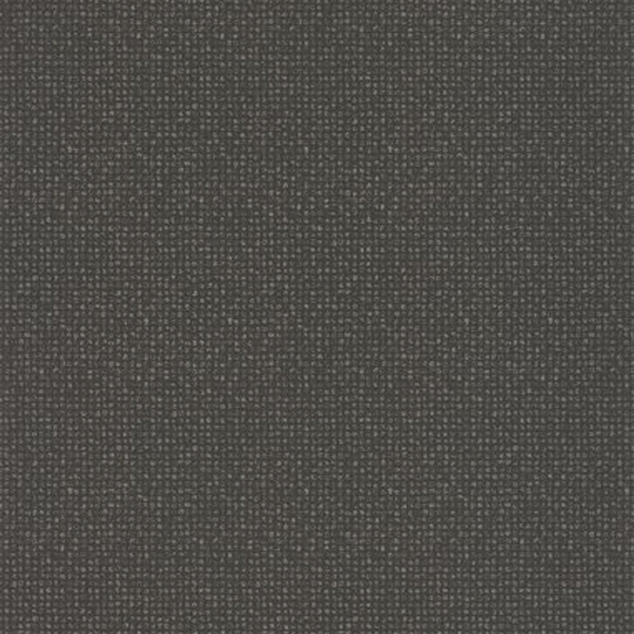 Namadji Nangara Wallpaper - Noir Et Taupe - Casadeco - 84439320 - Premier Wallcovering