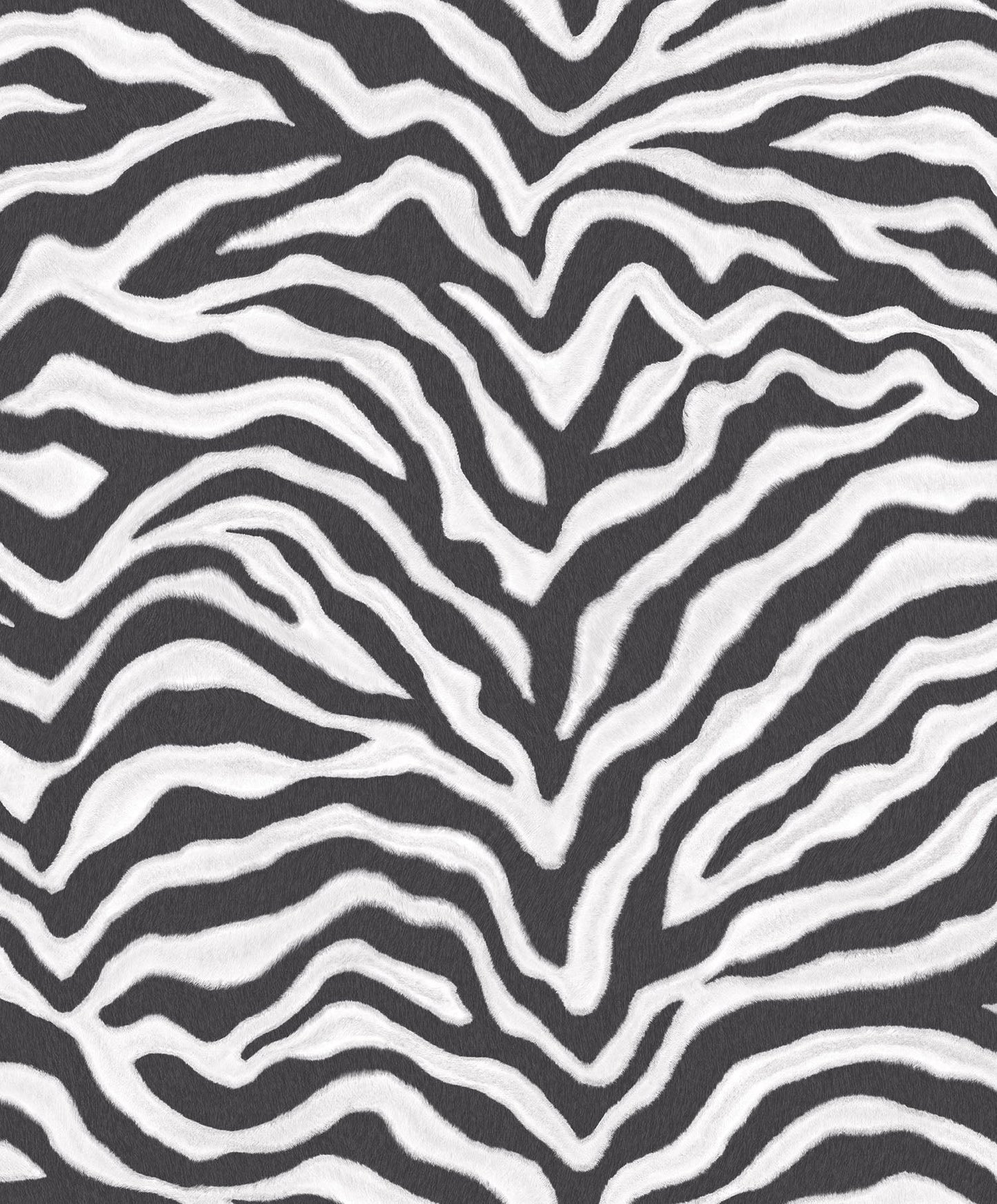 Natural FX 2 Zebra Wallpaper - Black & White - Galerie - G67491 - Premier Wallcovering