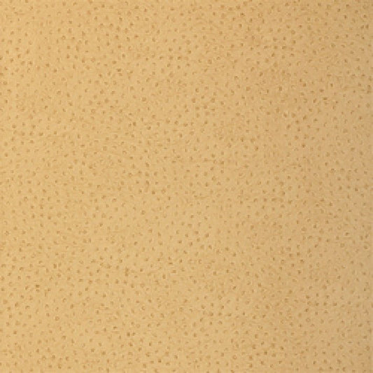 Natural Ostrich Wallpaper - Harvest - Thibaut - T6829 - Premier Wallcovering