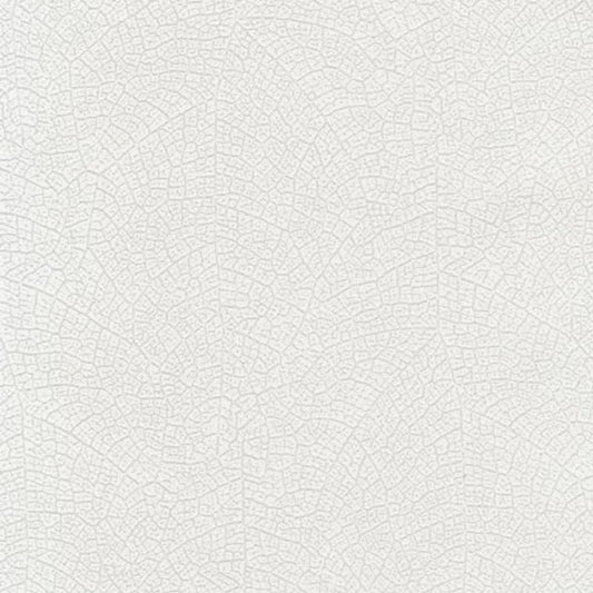 Nervure Riverside Wallpaper - Blanche - Casadeco - 26210113 - Premier Wallcovering
