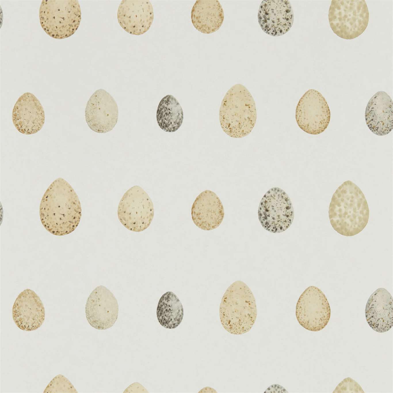 Nest Egg Wallpaper - Corn Graphite - Sanderson - DEBB216505 - Premier Wallcovering