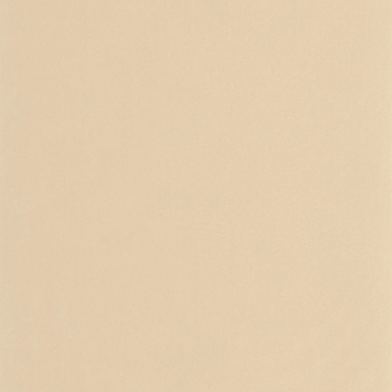 Nest Wallpaper - Coquille D'oeuf - Casadeco - 201001414 - Premier Wallcovering