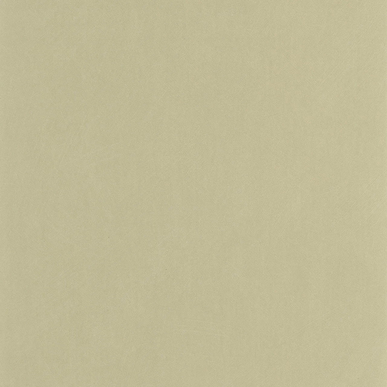 Nest Wallpaper - Vert Pistache - Casadeco - 201007202 - Premier Wallcovering