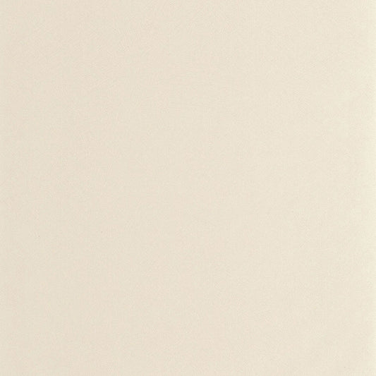 Nest Wallpaper - Beige Parchemin - Casadeco - 201001212 - Premier Wallcovering