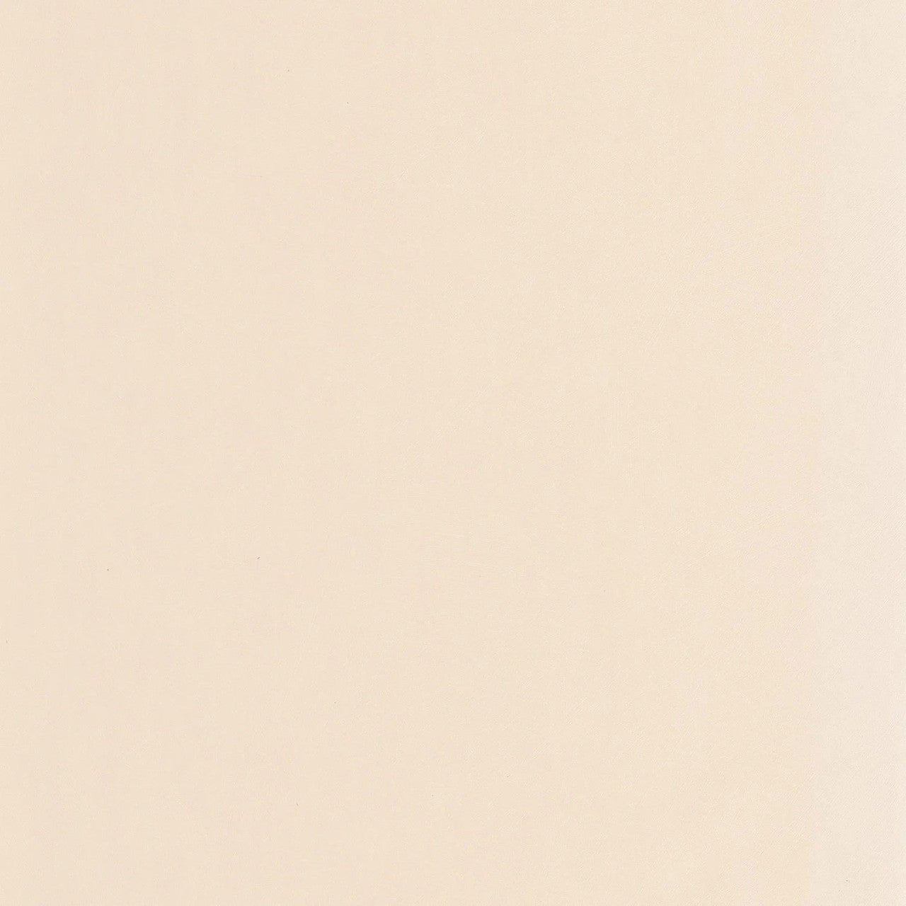 Nest Wallpaper - Blanc Craie - Casadeco - 201000303 - Premier Wallcovering