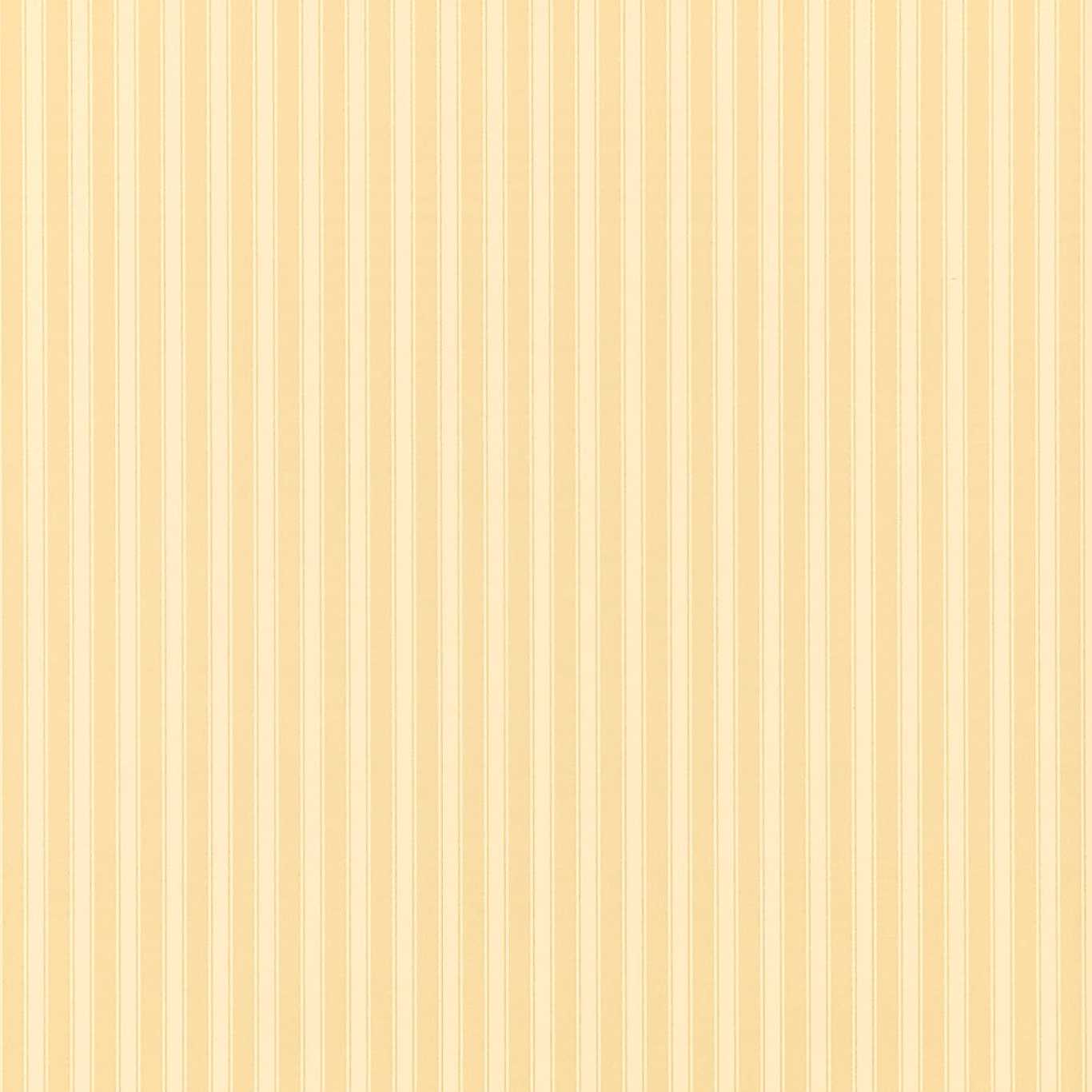 New Tiger Stripe Wallpaper - Honey/Cream - DCAVTP104 - Sanderson - Premier Wallcovering
