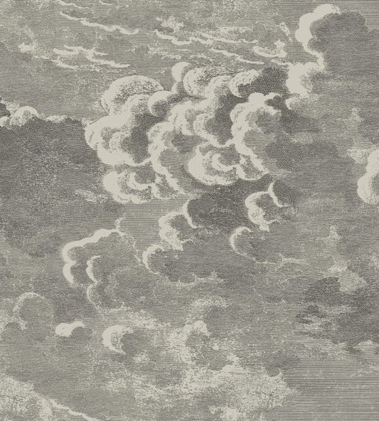 Nuvolette Wallpaper - Metallic Gilver & Charcoal - 114/2004 - Cole & Son - Premier Wallcovering