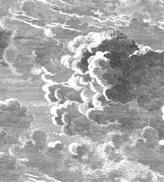 Nuvolette Wallpaper - Black & White - 114/28054 - Cole & Son - Premier Wallcovering