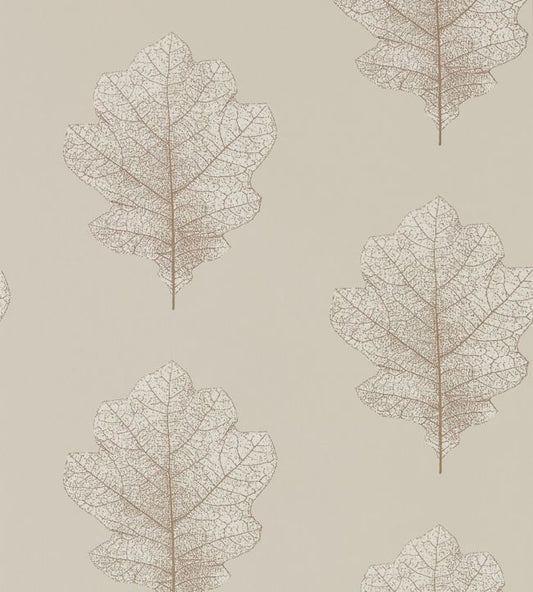 Oak Filigree Wallpaper - Stone/Gilver - DWOW215698 - Sanderson - Premier Wallcovering