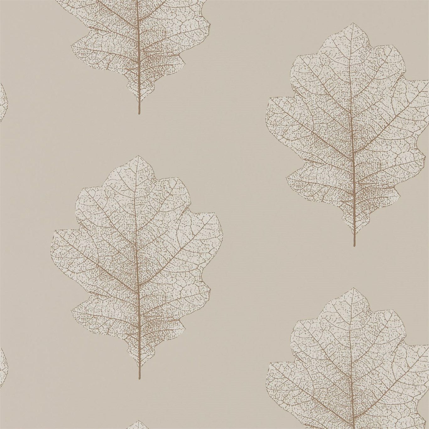 Oak Filigree Wallpaper - Stone/Gilver - Sanderson - DWOW215698 - Premier Wallcovering