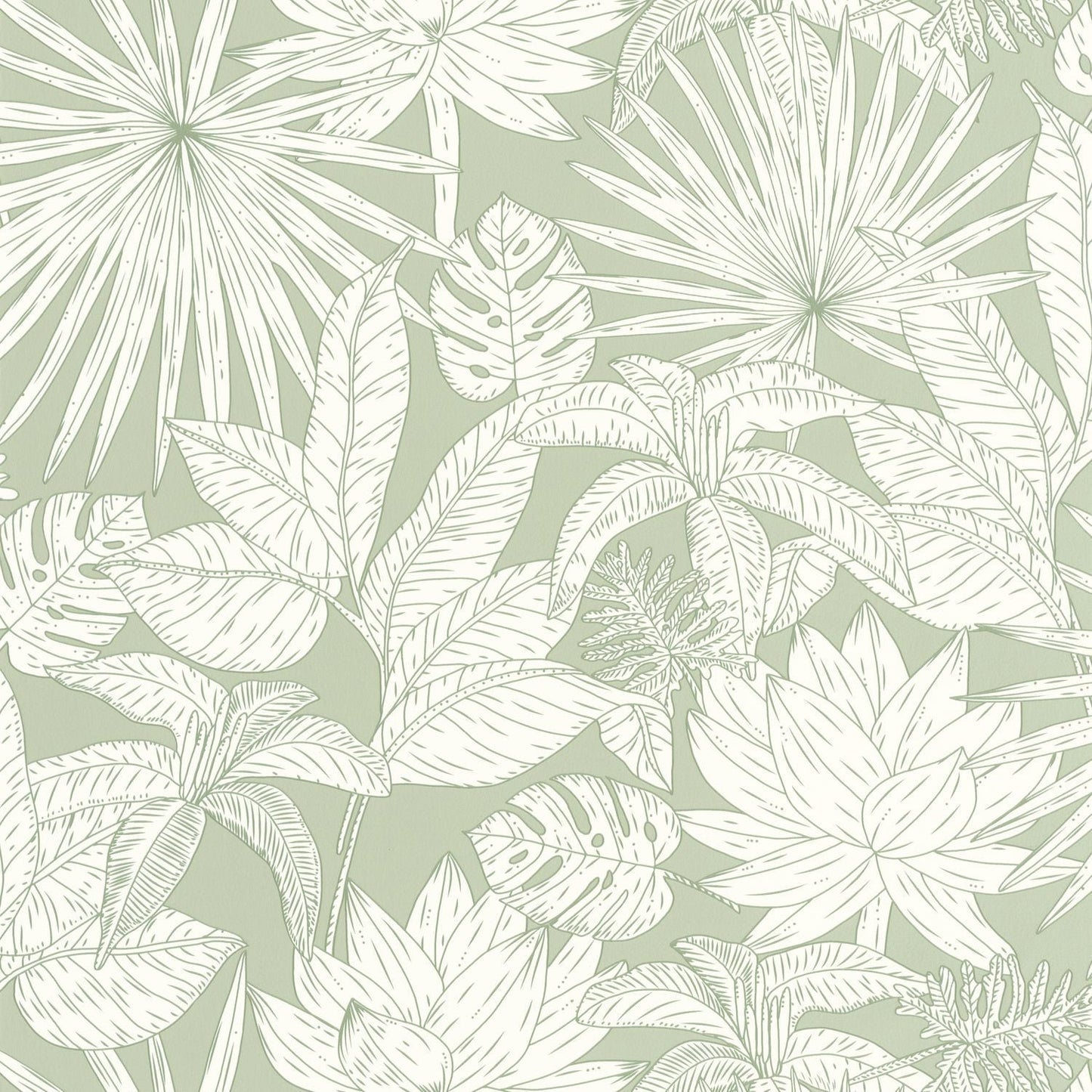 Odyssee Hawai Wallpaper - Vert D'eau - Caselio - 101437041 - Premier Wallcovering