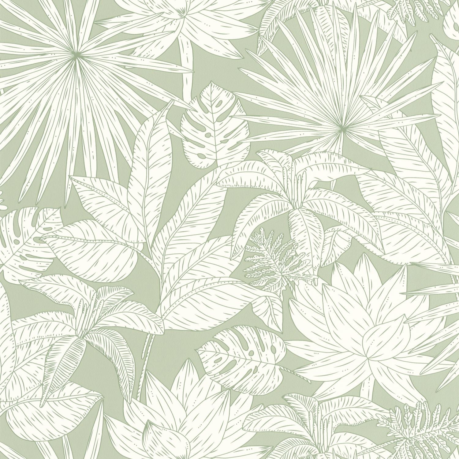 Odyssee Hawai Wallpaper - Vert D'eau - Caselio - 101437041 - Premier Wallcovering