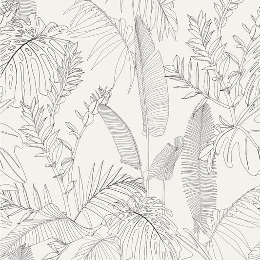Omaru Galapalos Tropical Leaves Wallpaper - White/Black - Grandeco - A69301 - Premier Wallcovering