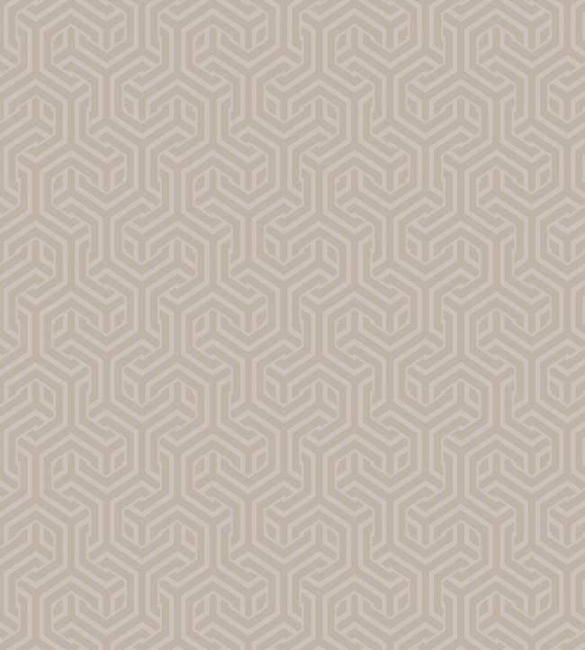 Opus Wallpaper - Neutral - Arley House - OPUS35 - Premier Wallcovering