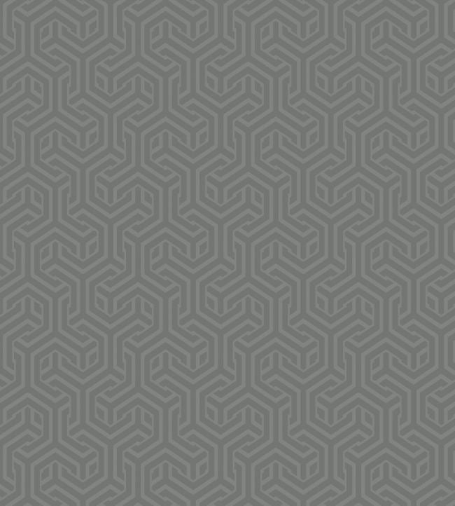Opus Wallpaper - Charcoal - Arley House - OPUS42 - Premier Wallcovering