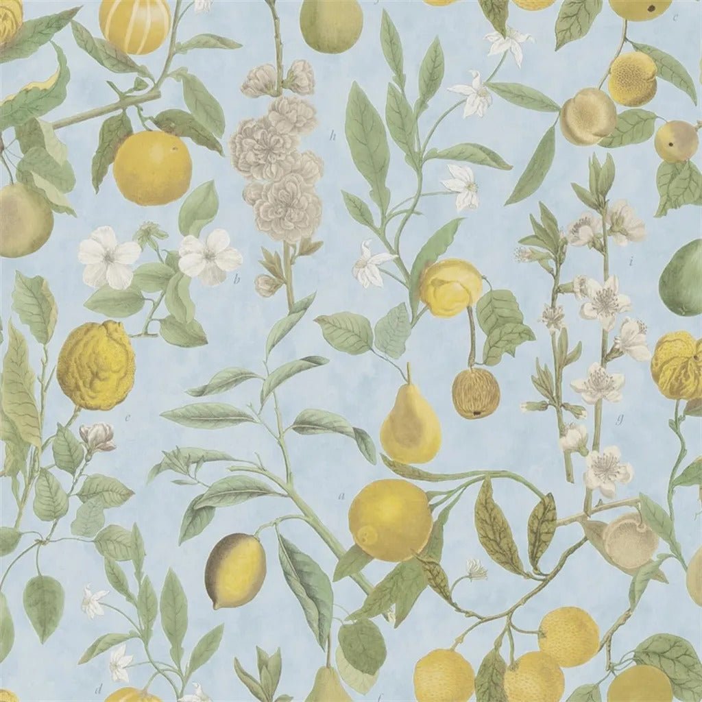 Orchard Fruits Wallpaper - Sky Blue - John Derian - PJD6018/02 - Premier Wallcovering