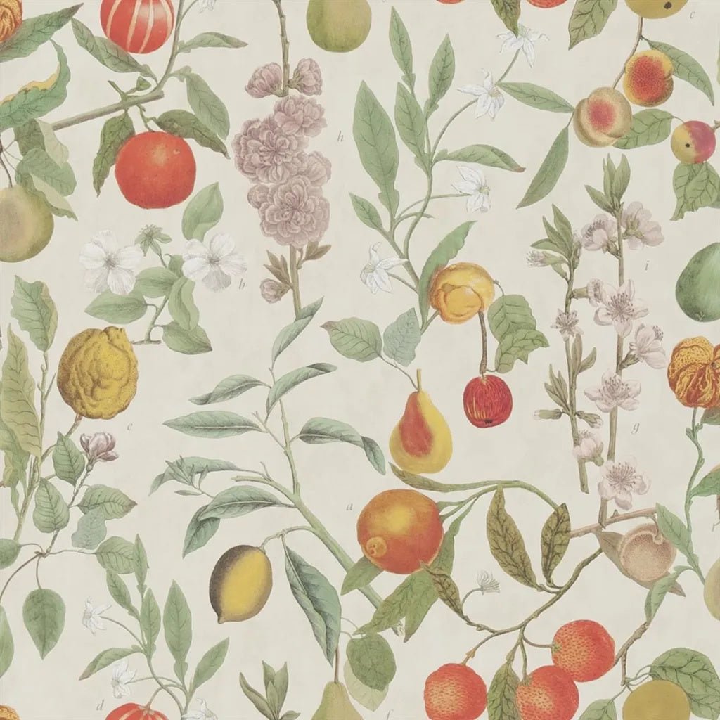 Orchard Fruits Wallpaper - Parchment - John Derian - PJD6018/01 - Premier Wallcovering