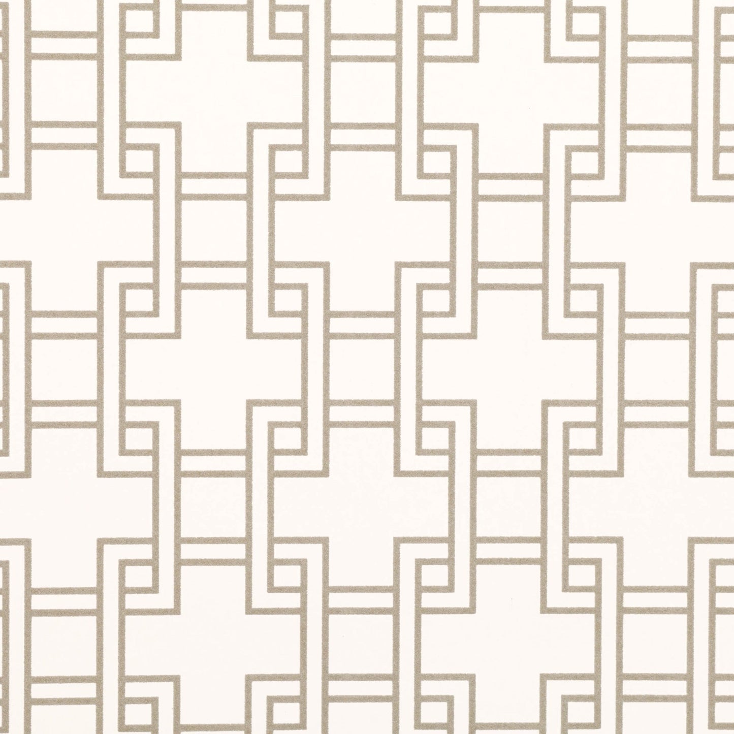 Orden Wallpaper - Whitewash - Romo - Lomasi - W401/01 - Premier Wallcovering