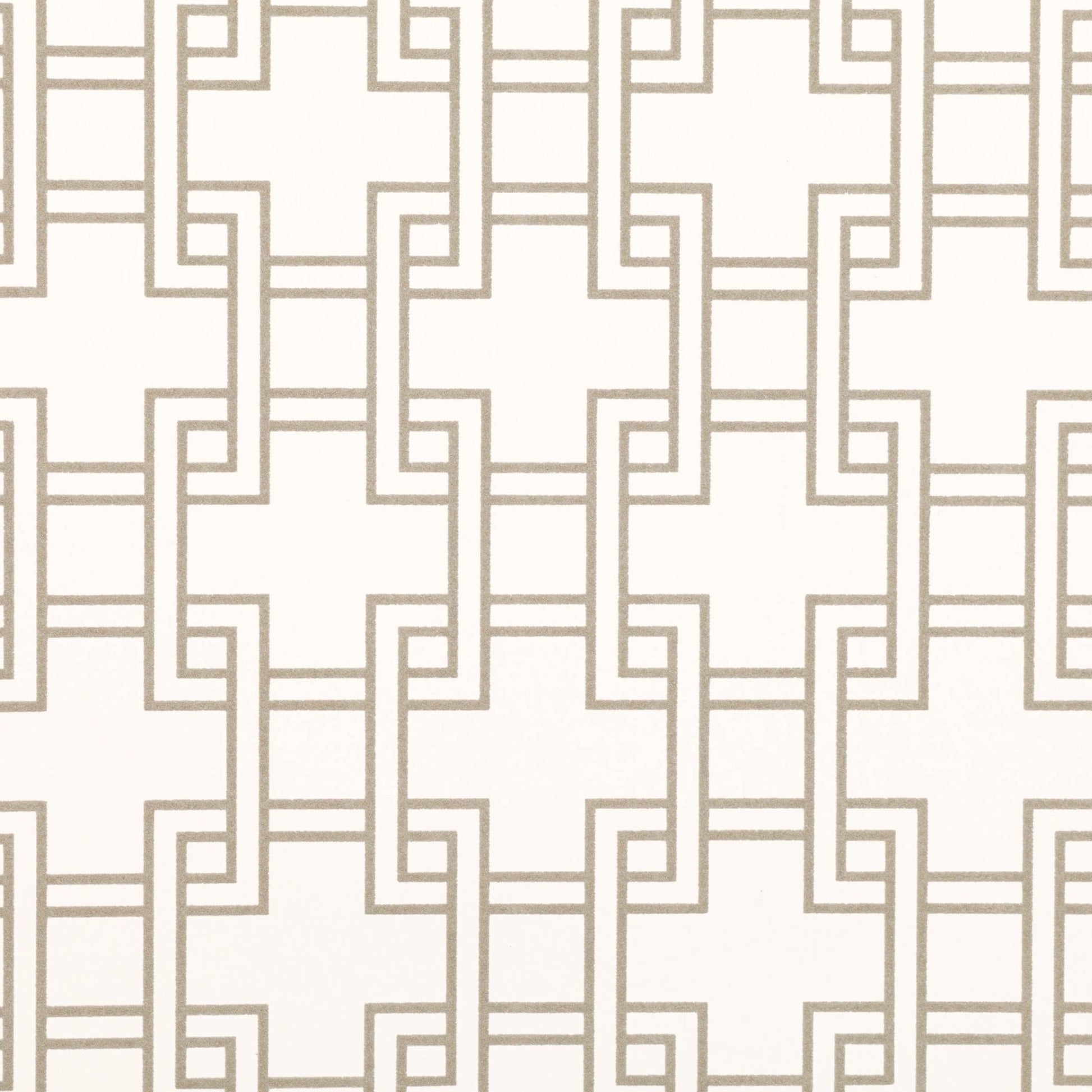 Orden Wallpaper - Whitewash - Romo - Lomasi - W401/01 - Premier Wallcovering