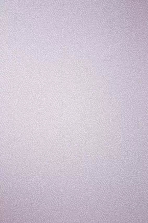 Oriole Wallpaper - Purple - Osborne & Little - W6491-07 - Premier Wallcovering