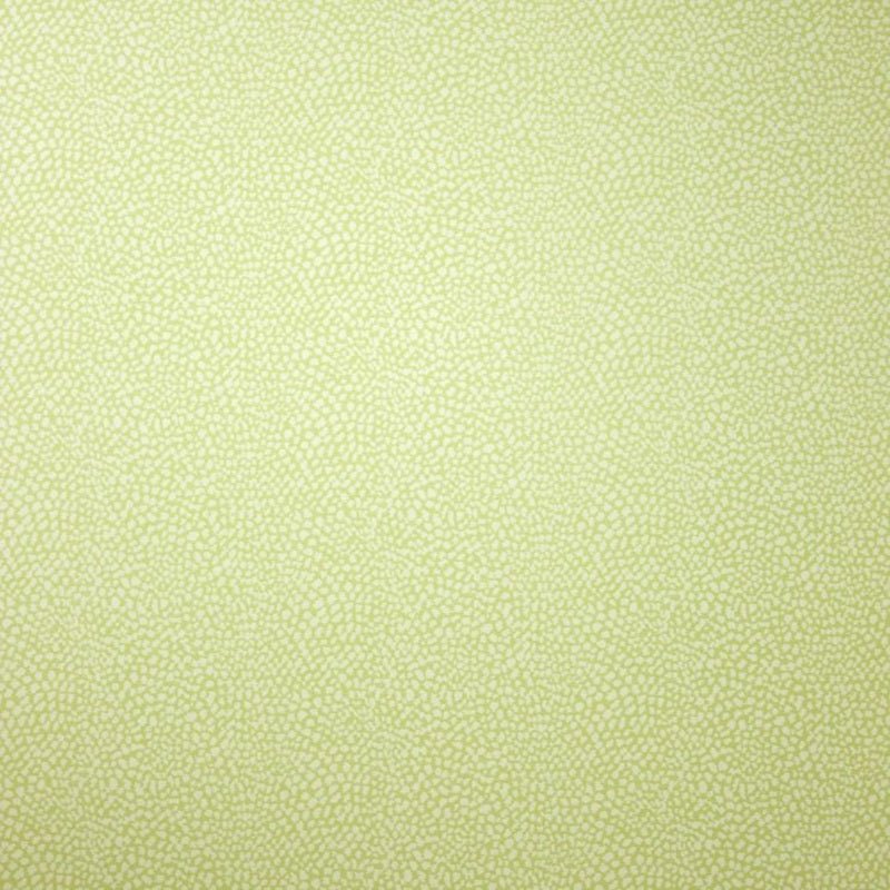 Oriole Wallpaper - Pale Lime - Osborne & Little - W6491-05 - Premier Wallcovering