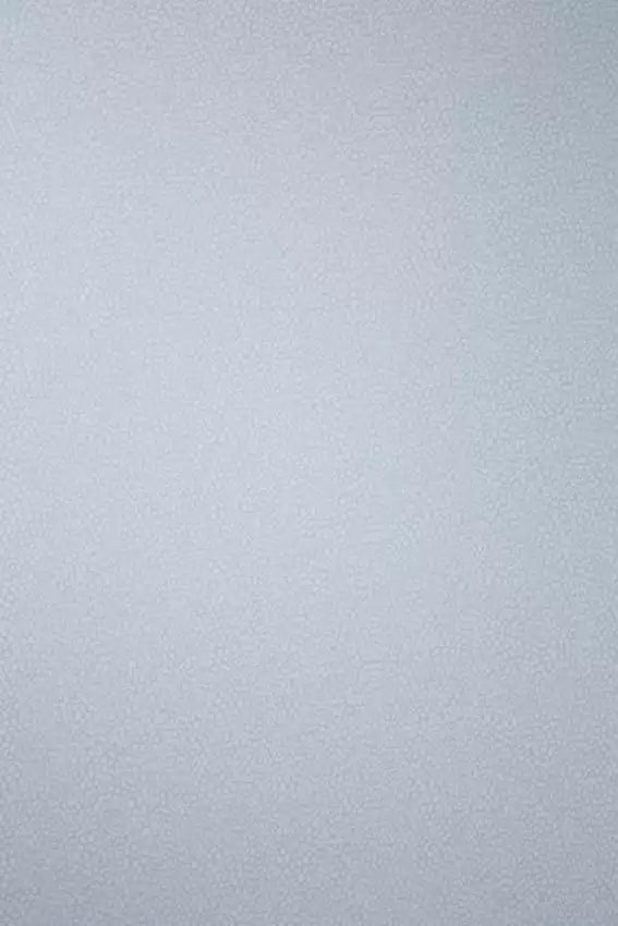 Oriole Wallpaper - Silver - Osborne & Little - W6491-02 - Premier Wallcovering