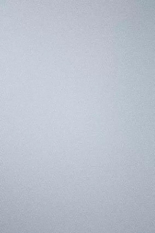 Oriole Wallpaper - Silver - Osborne & Little - W6491-02 - Premier Wallcovering
