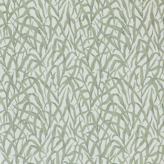 Ornamental Grasses Wallpaper - Sage Green - 1838 wallcoverings - 2513 - 185 - 01 - Premier Wallcovering