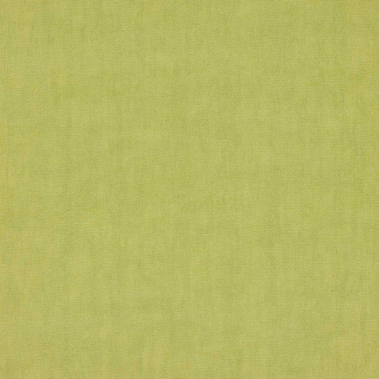 Oscar Fabric - Pistache - Manuel Canovas - M4112-36 - Premier Wallcovering