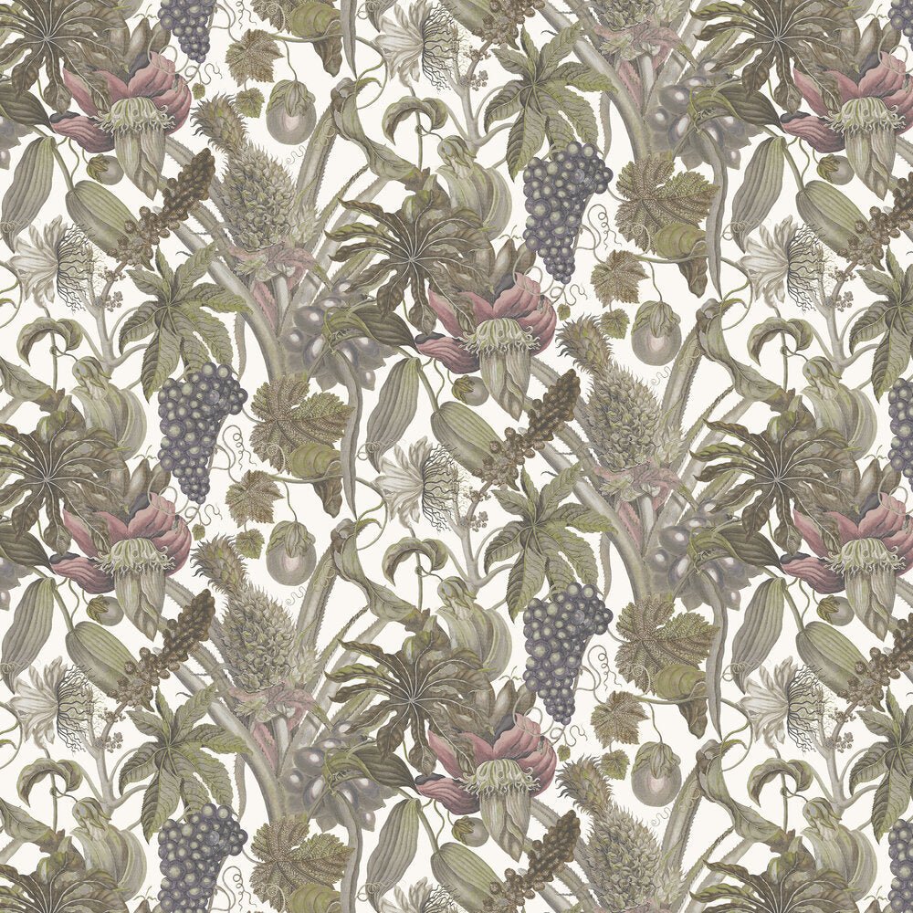 Osterley Wallpaper - Raisin - Timothy Wilman - TW2462 - Premier Wallcovering