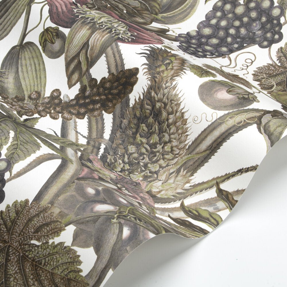 Osterley Wallpaper - Raisin - Timothy Wilman - TW2462 - Premier Wallcovering