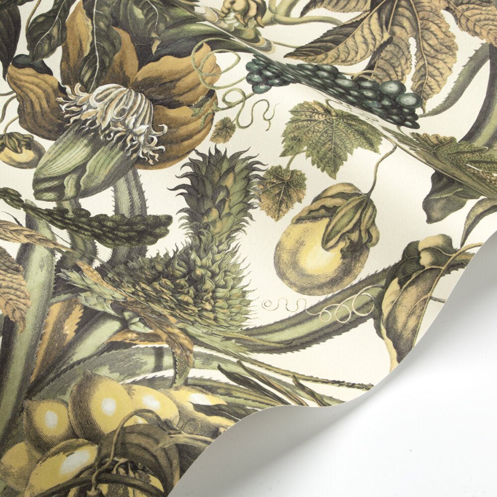 Osterley Wallpaper - Sepia - Timothy Wilman - TW2463 - Premier Wallcovering