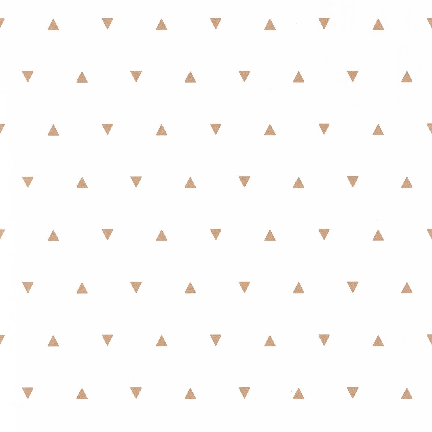 Our Planet Bermuda Triangle Wallpaper - Beige - Caselio - 101991111 - Premier Wallcovering