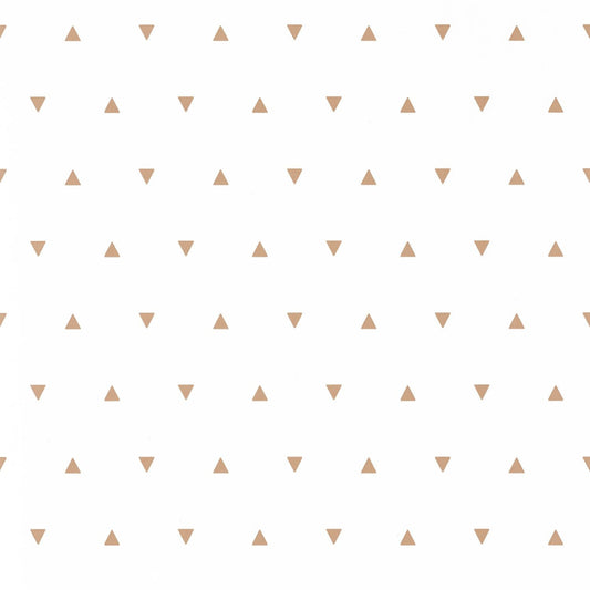Our Planet Bermuda Triangle Wallpaper - Beige - Caselio - 101991111 - Premier Wallcovering