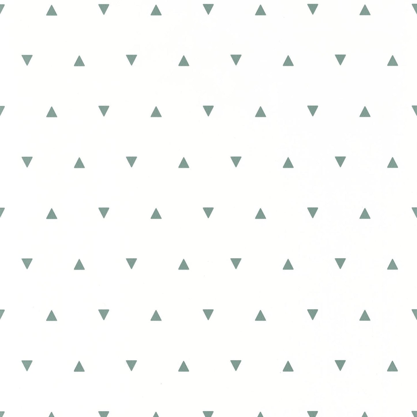 Our Planet Bermuda Triangle Wallpaper - Vert D'eau - Caselio - 101997101 - Premier Wallcovering