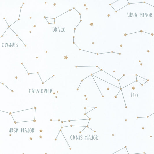 Our Planet Constellations Wallpaper - Blanc - Caselio - 101917125 - Premier Wallcovering