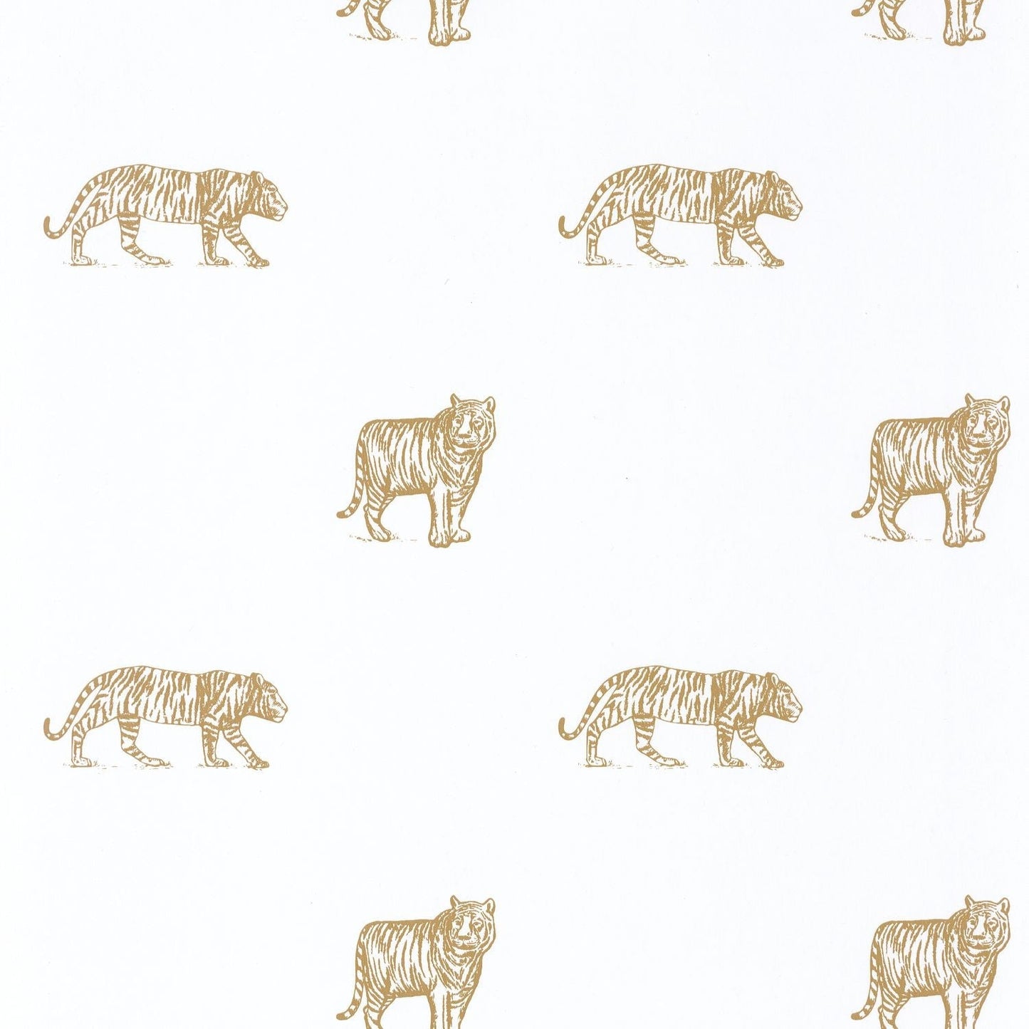 Our Planet Eye Of The Tiger Wallpaper - Blanc - Caselio - 101962105 - Premier Wallcovering