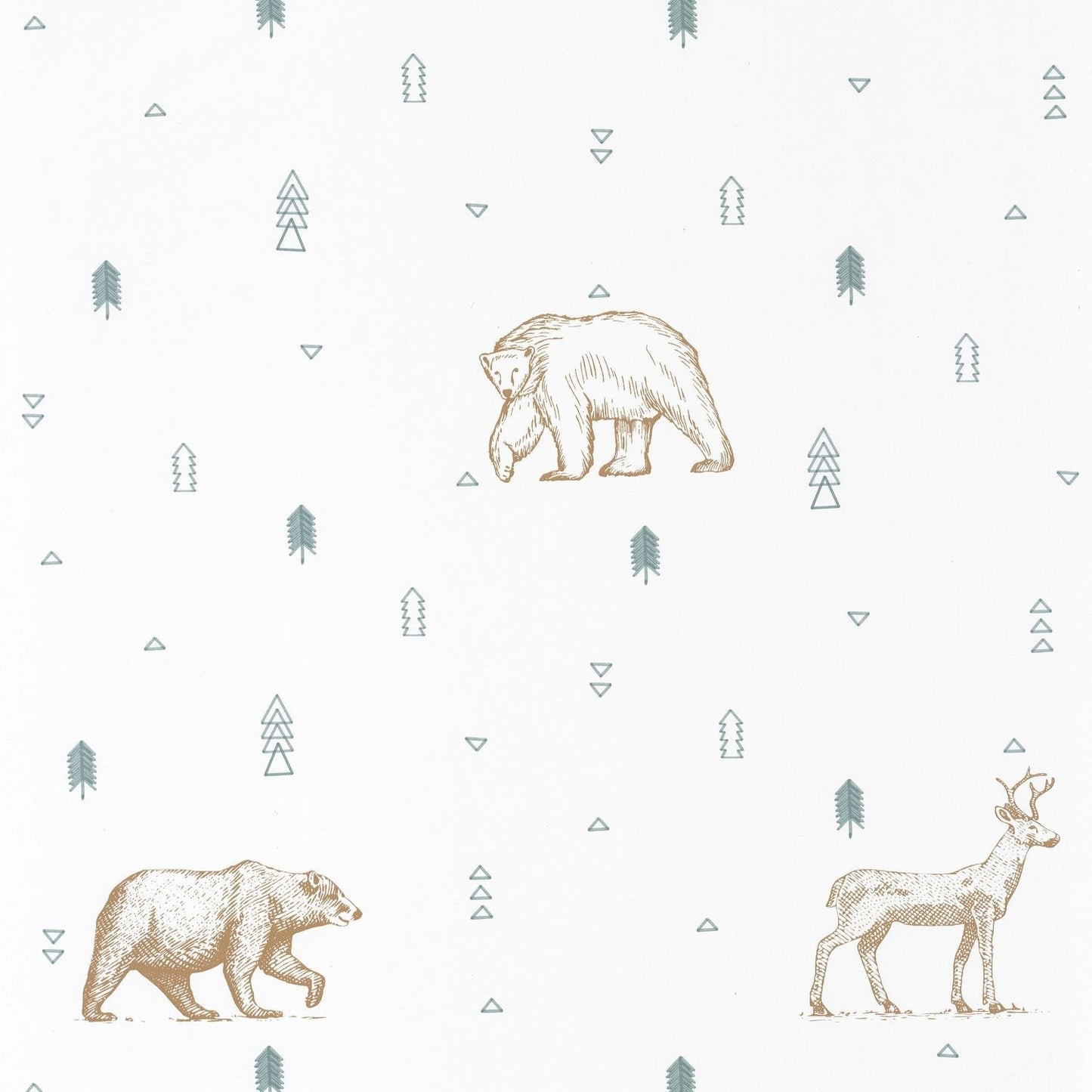 Our Planet Grizzly Bears Wallpaper - Beige - Caselio - 101987112 - Premier Wallcovering