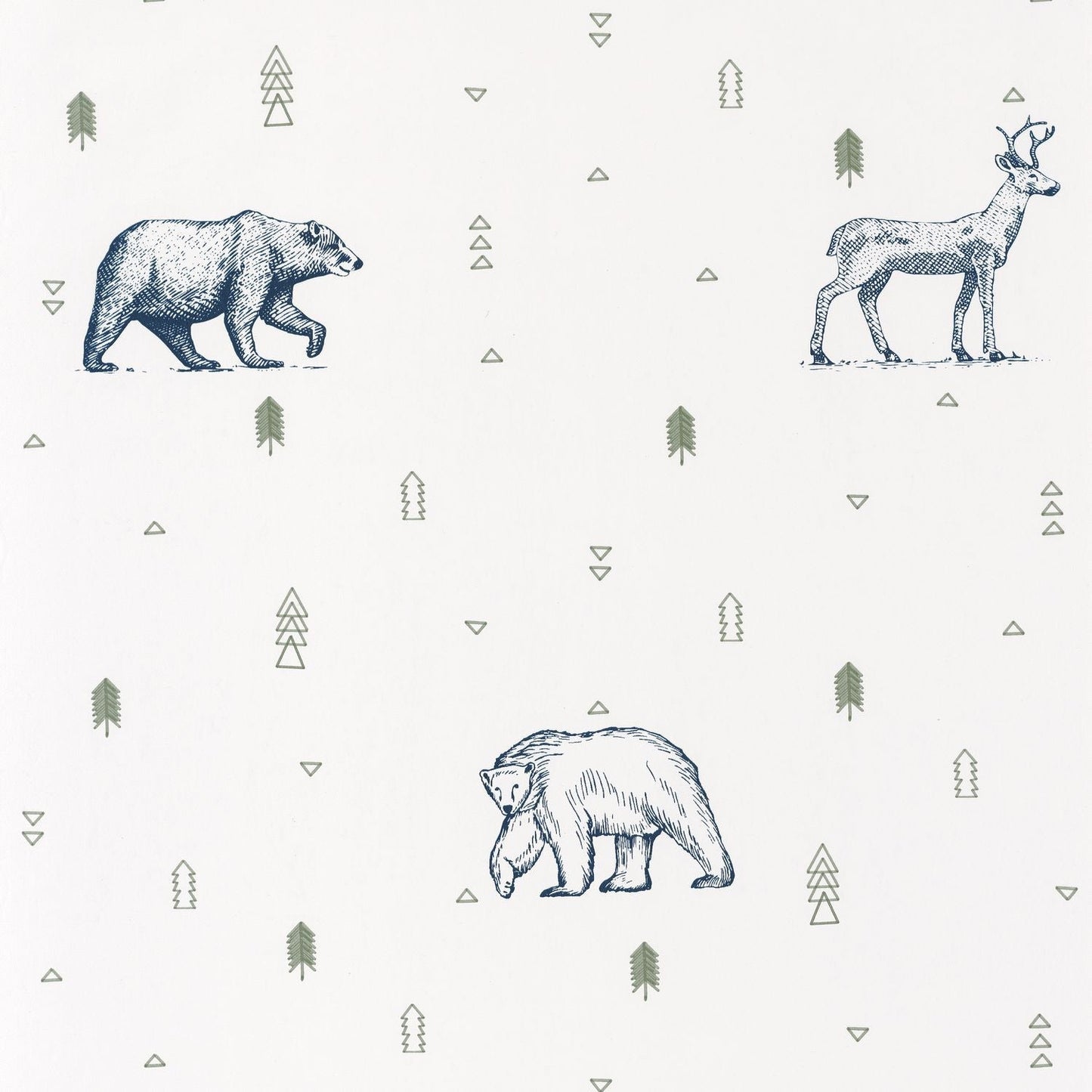 Our Planet Grizzly Bears Wallpaper - Bleu Nuit - Caselio - 101987403 - Premier Wallcovering