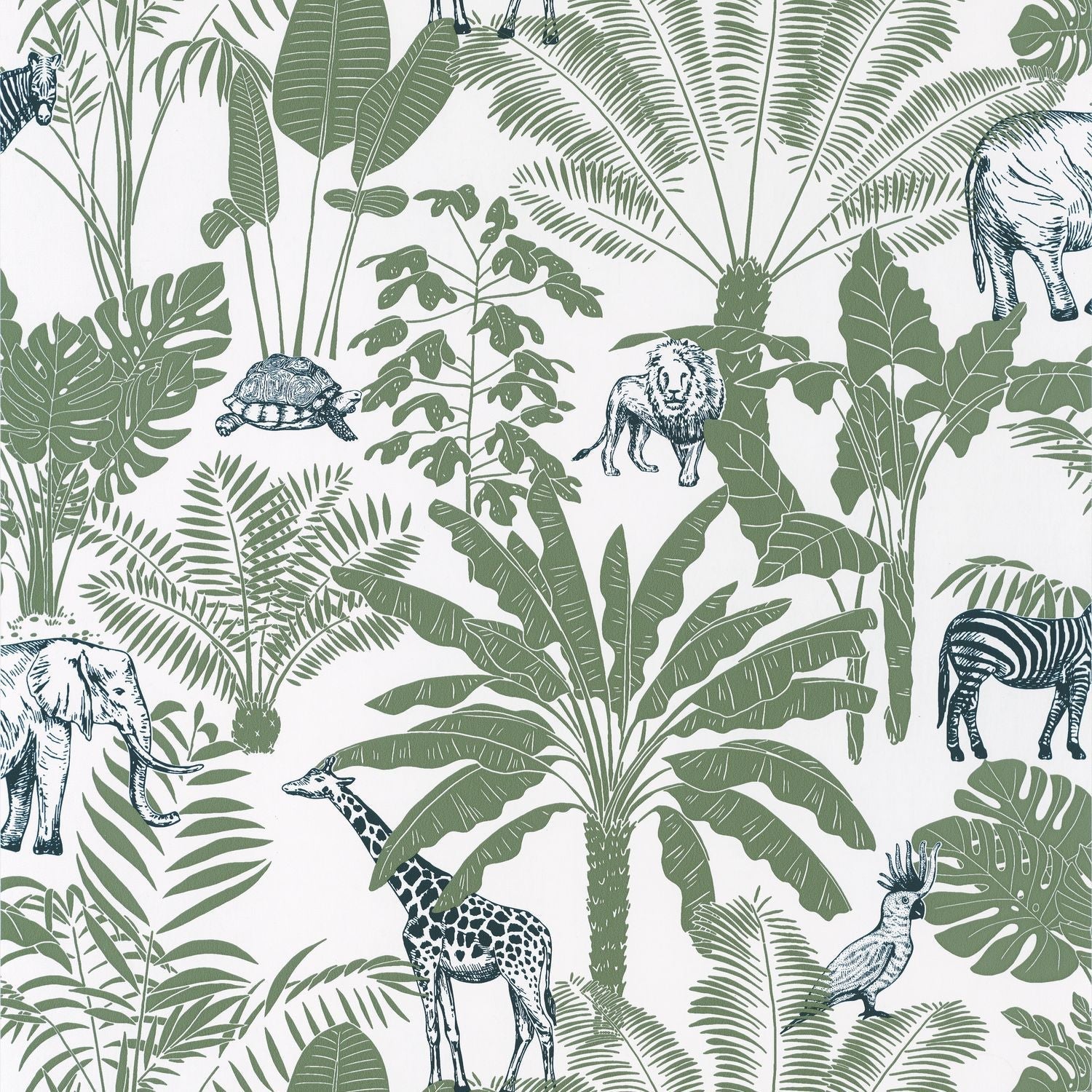 Our Planet Jungle Trip Wallpaper - Kaki - Caselio - 101957403 - Premier Wallcovering